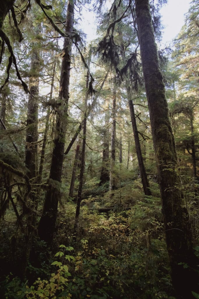 Vancouver Island trails.