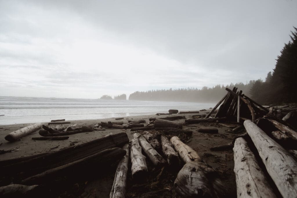 Beach near Tofino, Vancouver Island, BC, Canada.