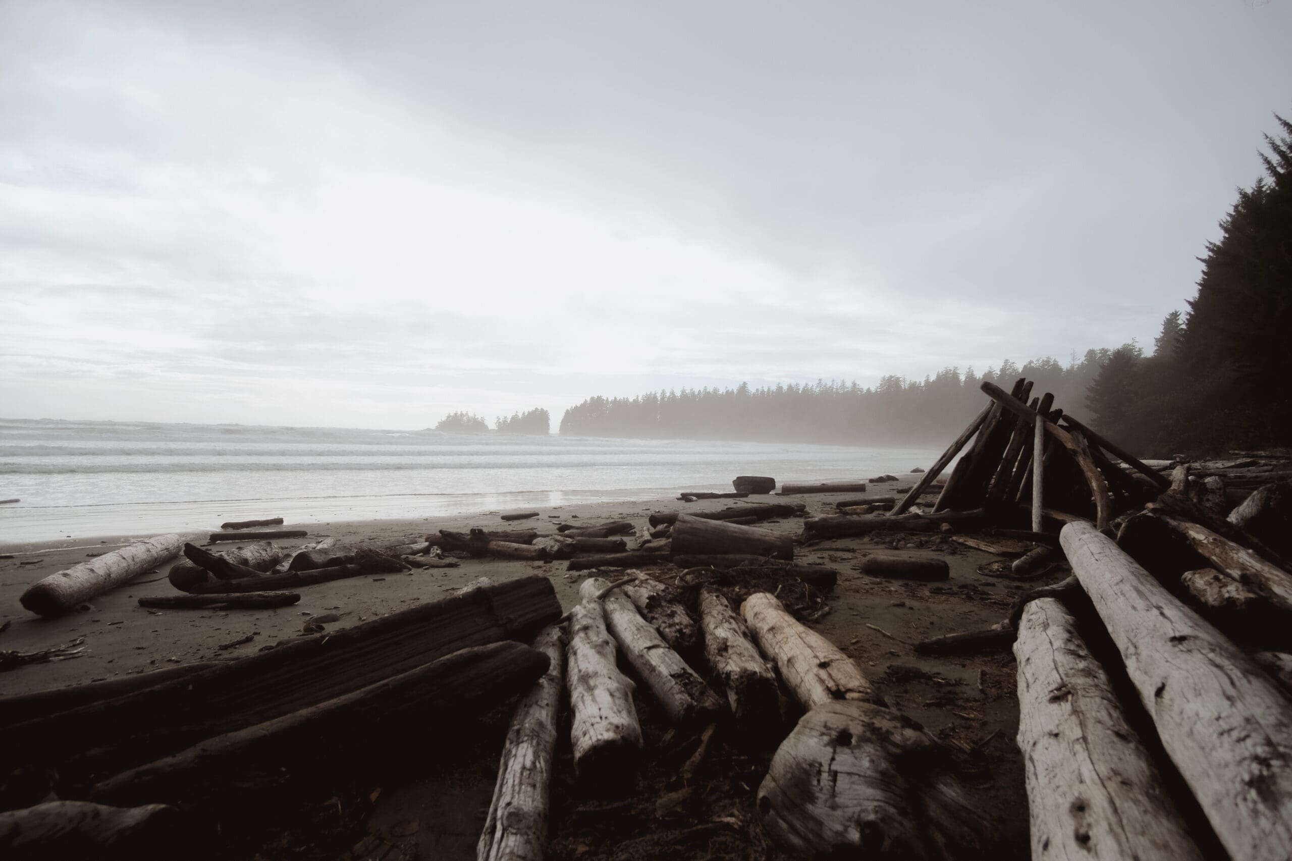 Beach near Tofino, Vancouver Island, BC.