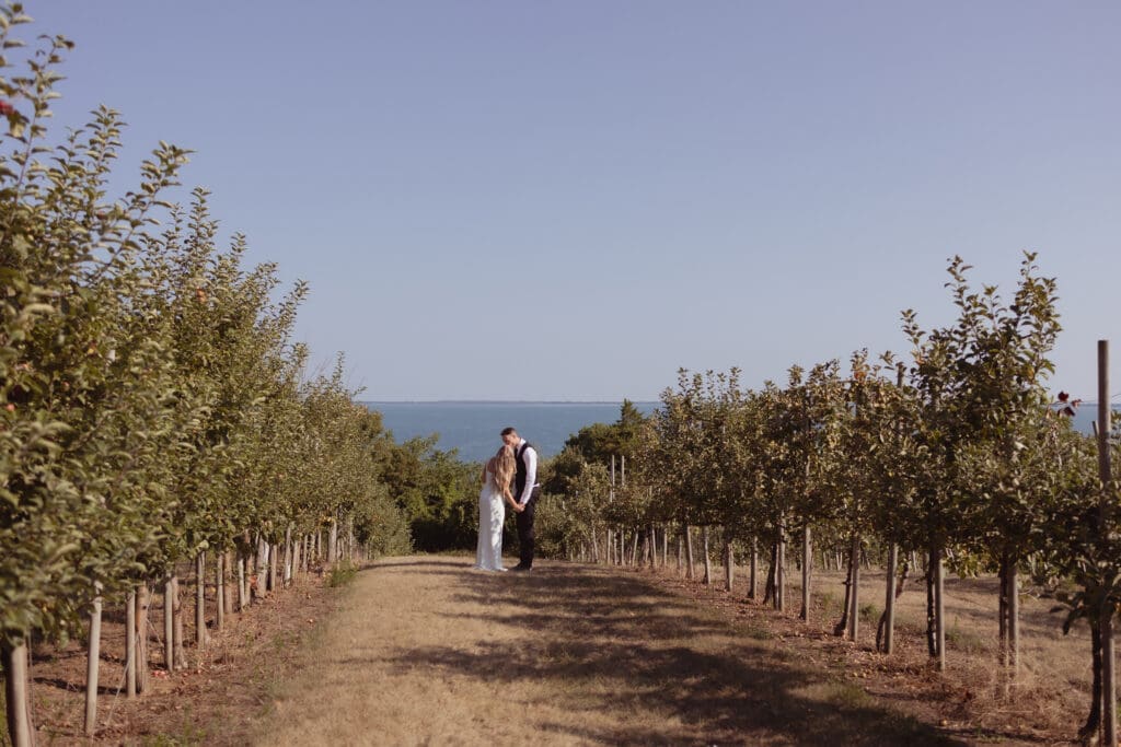 Prince Edward County Elopement in Waupoos, Ontario at the County Cider Company.