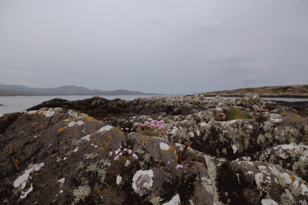 Beautiful rocks on Derrynane Beach.