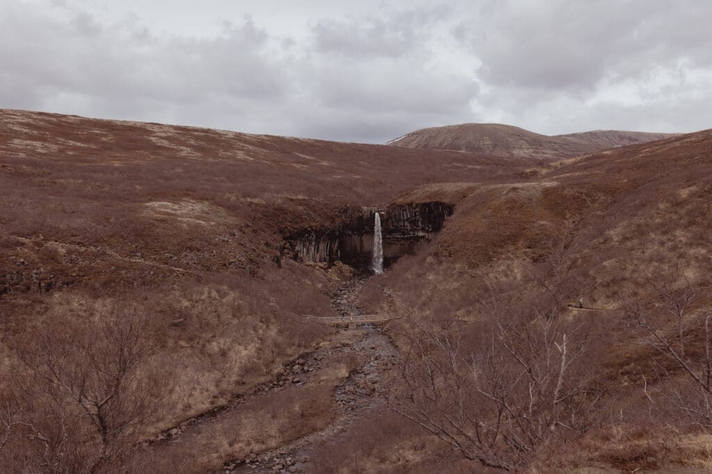 Svartifoss waterfall, iceland.